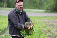 Mika Törnen perunat, Rymättylä 2026. Valok. Lassi Lähteenmäki (2)