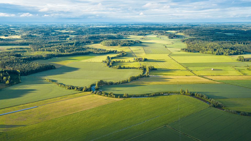 Kuva: Maa- ja Metsätaloustuottajain Keskusliitto MTK ry