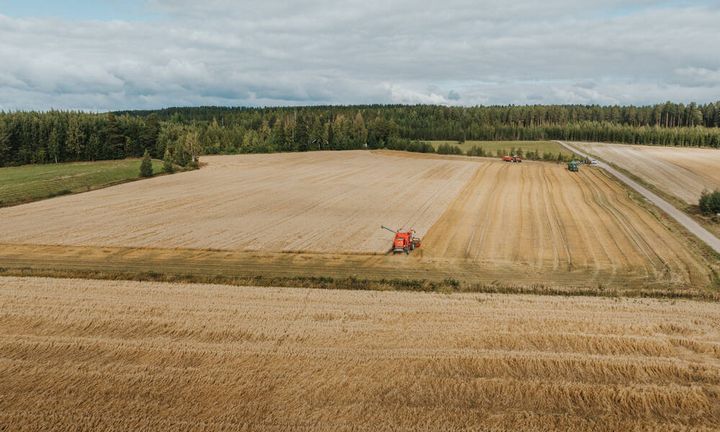 Kuvituskuva.