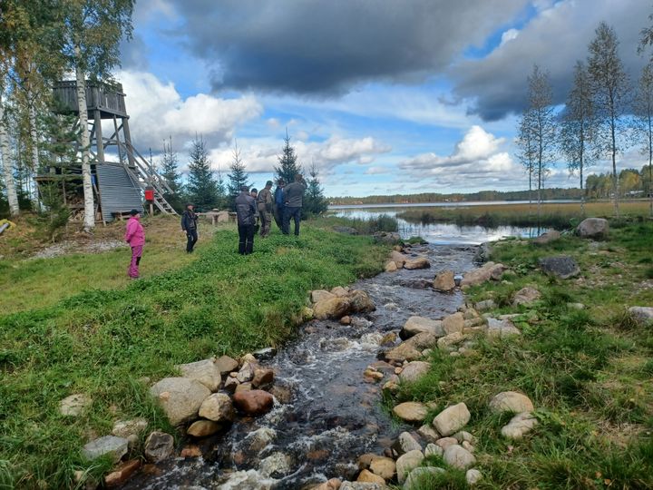 Lumijärven kalatie on yksi osakaskunnan kunnostushankkeista.