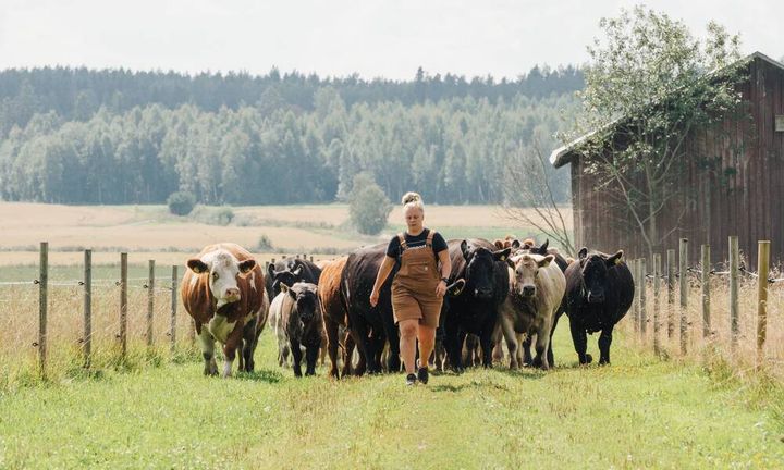 Hirvilammen luomutila