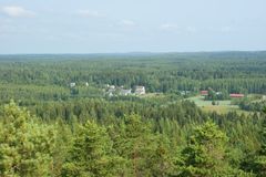 Suomalaista metsää ja maisemaa
