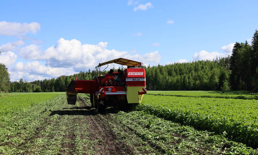 Heikko talous koettelee maatiloja – joka kolmas harkitsee lopettamista