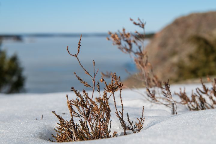 Kuvituskuva.