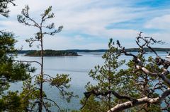 Puiden välistä avautuu saaristomaisemaa.