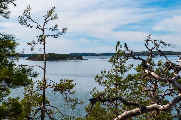 Puiden välistä avautuu saaristomaisemaa.