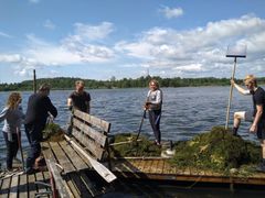 Ihmisiä kasvinpoistotalkoissa Luolalanjärvellä.