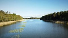 Naantalin Matalahti.