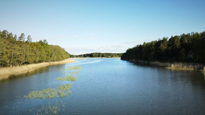 Naantalin Matalahti.