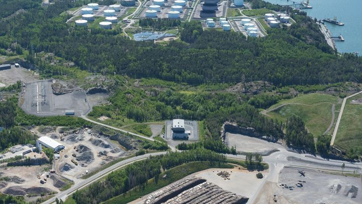 Naantalin Tupavuoren metsäaluetta entisen Nesteen öljyjalostamon läheisyydessä.