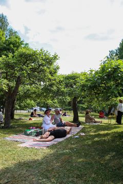 Piknik omenapuun alla tarjoaa rennon ja elämyksellisen tavan herkutella. Se sopii loistavasti esimerkiksi perheille ja ystäväporukoille