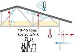 Yhtenevä ja ehjä höyryn-/ilmansulku estää huonekosteuden nousun yläpohjaan.  Esimerkiksi 1 m x 1 mm viilto höyrynsulussa voi vuotaa yläpohjaan kosteutta 3,6 dl /vrk.