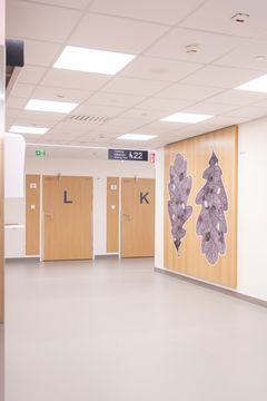 Alt text: En sjukhusavdelning med träytor, lugn belysning och konstverk föreställande löv av illustratören Tiitu Takalo.