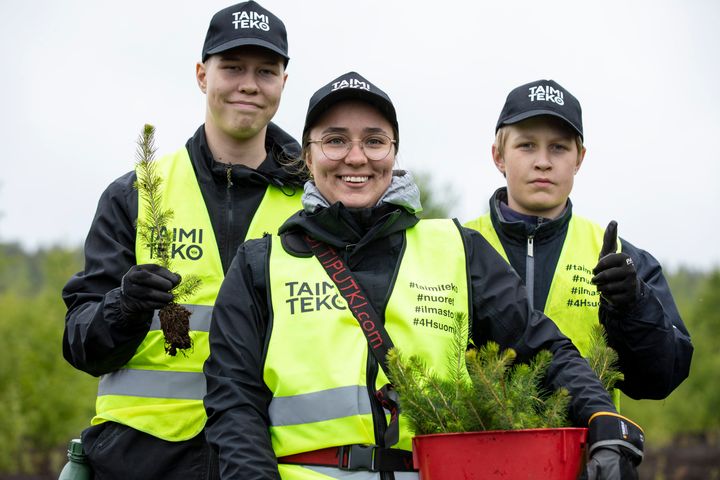 Taimiteko-istutuksissa työllistetään pääosin alle 18-vuotiaita nuoria. Kesän 2025 loppuun mennessä kuusen- ja männyntaimia on ollut istuttamassa yli 800 nuorta ympäri Suomea. 4H:n Taimiteko-toiminta aloitettiin vuonna 2019 ja tämä on seitsemäs istutusvuosi.