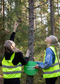 Taimiteko-metsät toimivat myös tulevaisuudessa lasten ja nuorten oppimisympäristöinä. Ala- ja yläkoululaisten metsäpäivissä lapset ja nuoret oppivat metsien merkityksestä ilmastonmuutoksen torjunnassa.