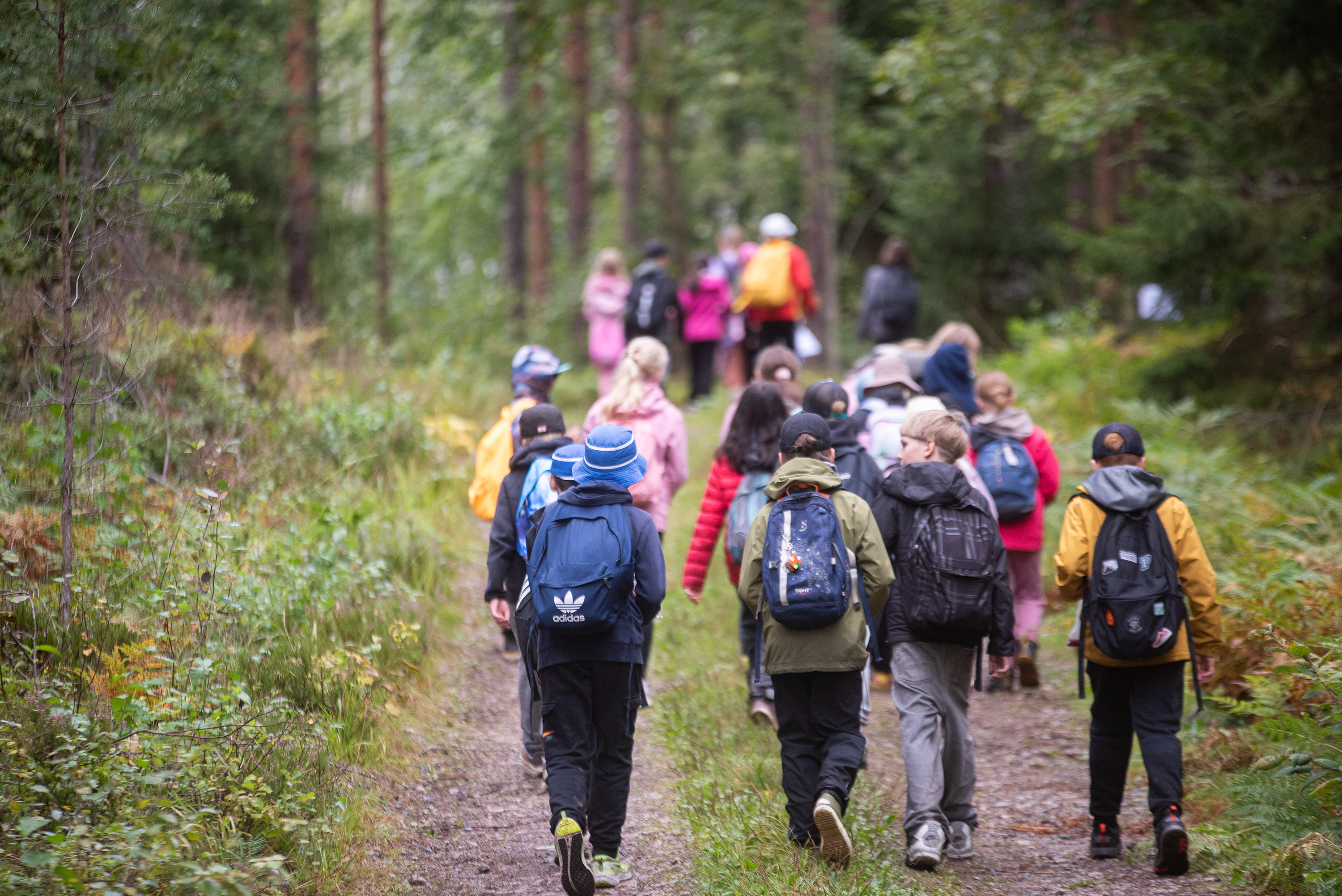 Tuhannet kuudesluokkalaiset osallistuvat valtakunnallisiin metsäpäiviin syksyllä
