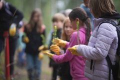 Metsäpäivässä kuutoset voivat oppia muun muassa metsäluonnosta ja luonnon monimuotoisuudesta, tutustua puusta valmistettaviin tuotteisiin, nähdä metsäkoneen työssään ja päästä istuttamaan puuntaimen.