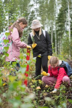 Metsäpäivän aikana koululaiset kiertävät toiminnallisia rasteja, joiden sisällöt tulevat koulujen opetussuunnitelmasta.