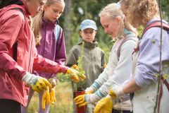 Metsäpäivässä kuutoset voivat oppia muun muassa metsäluonnosta ja luonnon monimuotoisuudesta, tutustua puusta valmistettaviin tuotteisiin, nähdä metsäkoneen työssään ja päästä istuttamaan puuntaimen. Rastien sisällöt tulevat opetussuunnitelmasta.