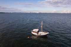 Patrik Kvikant jättää Tallinnan taakseen uimalla. Kuva: Julius Jansson