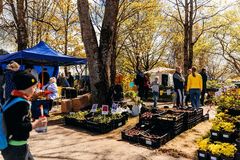 Türin perinteisiltä kukkamarkkinoilla 17.-19.5.2024 puutarha-alan yritykset, taimitarhat ja yksityispuutarhurit tarjoavat laajan valikoiman taimia ja kasveja sekä hyöty- että koristepuutarhaan. Kuva: Visit Estonia