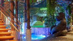 Tallinnan Elamus Spa on täydellinen paikka rentoutua talvipäivän seikkailujen jälkeen. Viron parhaaksi kylpyläksi 2025 valitussa kohteessa koko perhe viihtyy altaissa ja saunoissa, ja aikuisille on oma rauhallinen 21+ Spa.