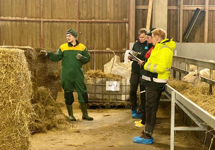 Till Mästarnas Mästare valdes Karoliina Koskinen som studerar vid Yrkesinstitut Livia och tävlade i grenen djurskötare. Bild: Susanne Buchholz-Setälä / Skills Finland.