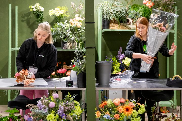 Floristiikka-laji Taitaja2025-tapahtumassa Turussa.