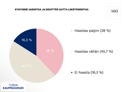 Liki 84 prosenttia vastaajista koki haasteita yrityksen kyvyssä uudistua ja kehittää uutta liiketoimintaa.