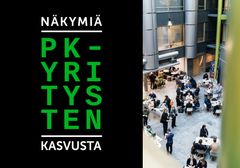 Kevään 2025 Näkymiä pk-yritysten kasvusta