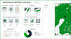 Lapin Kasvupolku-yritysten suurimmat sparraustarpeet liittyvät johtamiseen, kasvun rahoitukseen ja osaamiseen.