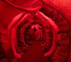 Dafna Maimon, Indigestibles, 2021.