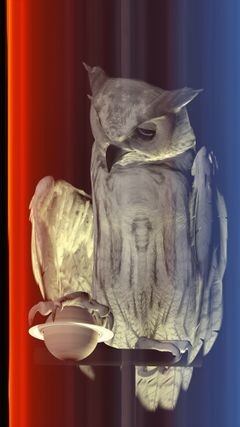 Ann Lislegaard, Oracles, Owls... some animals never sleep, 2012 - 2021. Taiteilijan ja Palace enterprisen luvalla.
