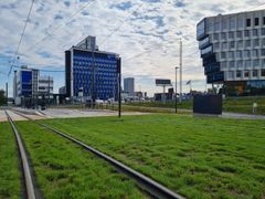 Tracks surrounded by grass in the foreground. A light rail stop, shelter and office buildings in the background.