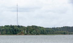 Det finns många träd vid havet. Några hus skymtar mellan träden.