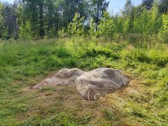 Riikka Keränen, Katoava kivi.