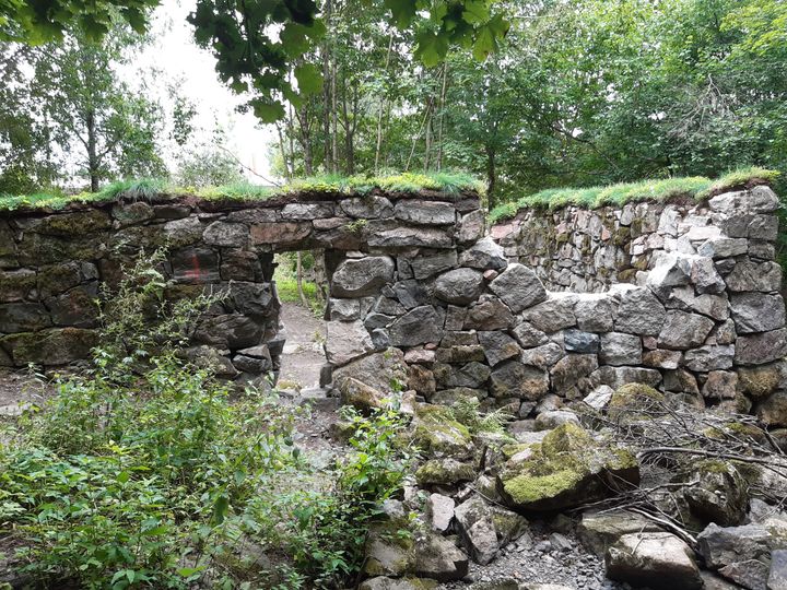 A view of restored mill ruins with a variety of vegetation growing on its surface.