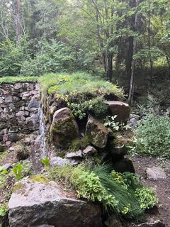 There are many types of vegetation growing on the masonry stones.