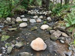 The riverbed is filled with numerous stones of varying sizes. The riverbanks are lined with trees and vegetation.