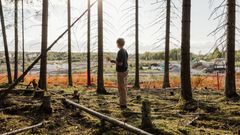 Henkilö seisoo metsässä katsoen avoimelle kentälle. Aurinko paistaa puiden lomasta.