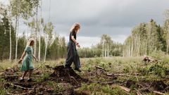 Två barn går i en röjd skogsglänta.