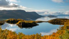 Syksyinen maisema, jossa näkyy vuoria, metsää ja järvi. Lehdet loistavat keltaisen ja oranssin sävyissä.