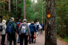 Ryhmä ihmisiä kävelemässä metsäpolulla, osa sauvojen ja rollaattorin kanssa, puussa oranssit reittimerkit.