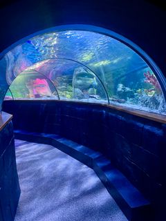 Uudistettu Valtameritunneli tarjoaa kymmenen metrin matkan meren alle.