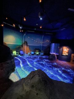 Öinen Valtamerisaari vie vierailijat mukanaan tutustumaan muunmuassa taianomaiseen bioluminesenssiin.