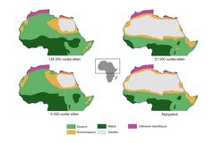 Muutokset kasvillisuudessa Pohjois-Afrikan kosteiden ja kuivien ajanjaksojen välillä.