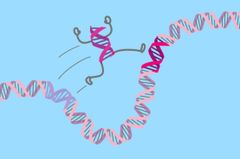 Hyppivät DNA-jaksot
