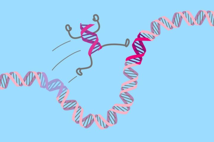 Hyppivät DNA-jaksot