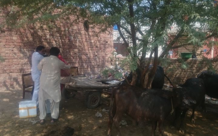 Tutkimushoitajat pystyttämässä ulostenäytteiden keräyspistettä Pakistanissa.