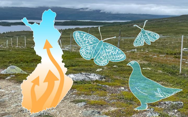 Kylmään sopeutuneet lajit väistyvät lämpimään sopeutuneiden tieltä